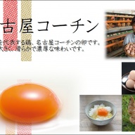 【40個入り】純系　名古屋コーチン卵