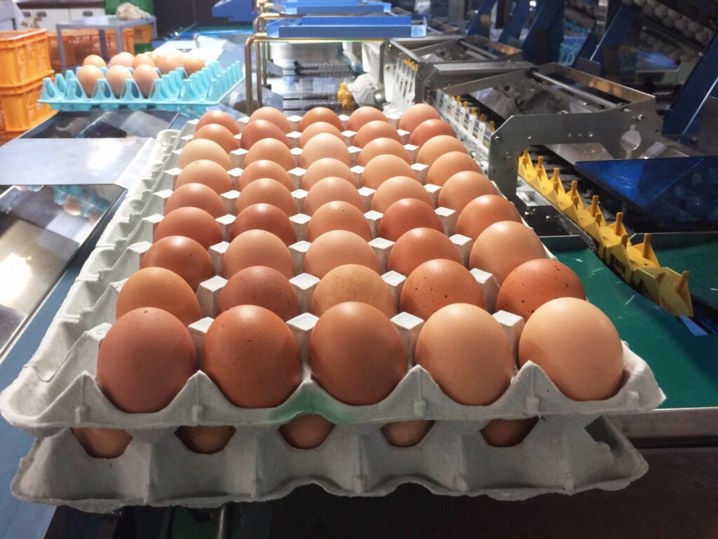 お詫びとご報告
