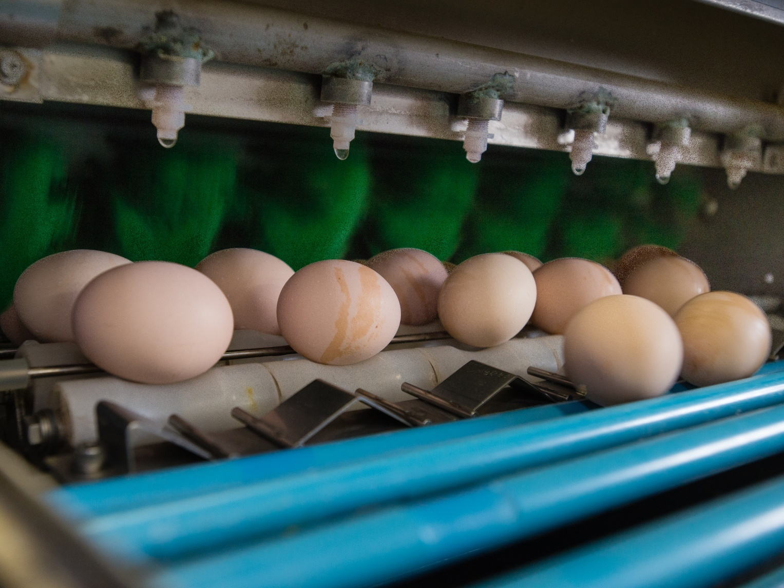 業務用卵の品質と鮮度を保つ管理の基本ポイント