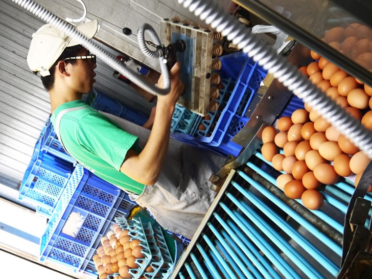 業務用卵の品質を保つ冷蔵配達の重要性と確認ポイント