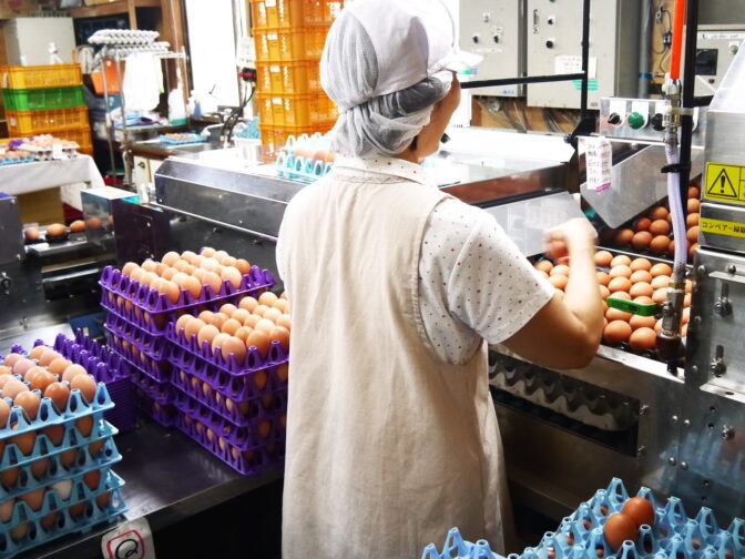 愛知の卵卸売業者が解説！仕入れ先選びのポイントと簡単な注文方法