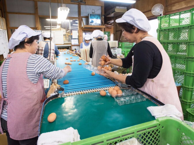 【専門店直伝】美味しい卵をお取り寄せ！毎日の食卓が変わる選び方の秘訣