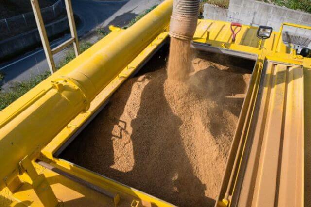 鶏のエサで卵の味が変わる理由とは